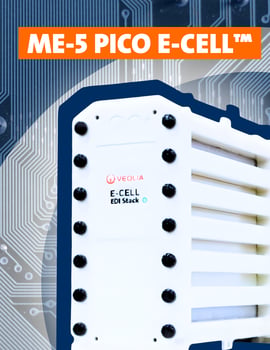 E-CELL