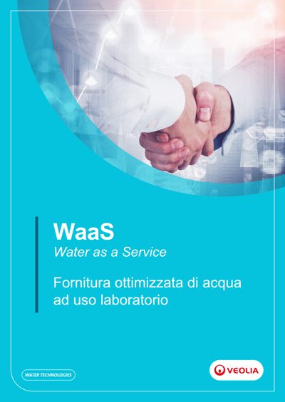 IT_WaaS Brochure v2