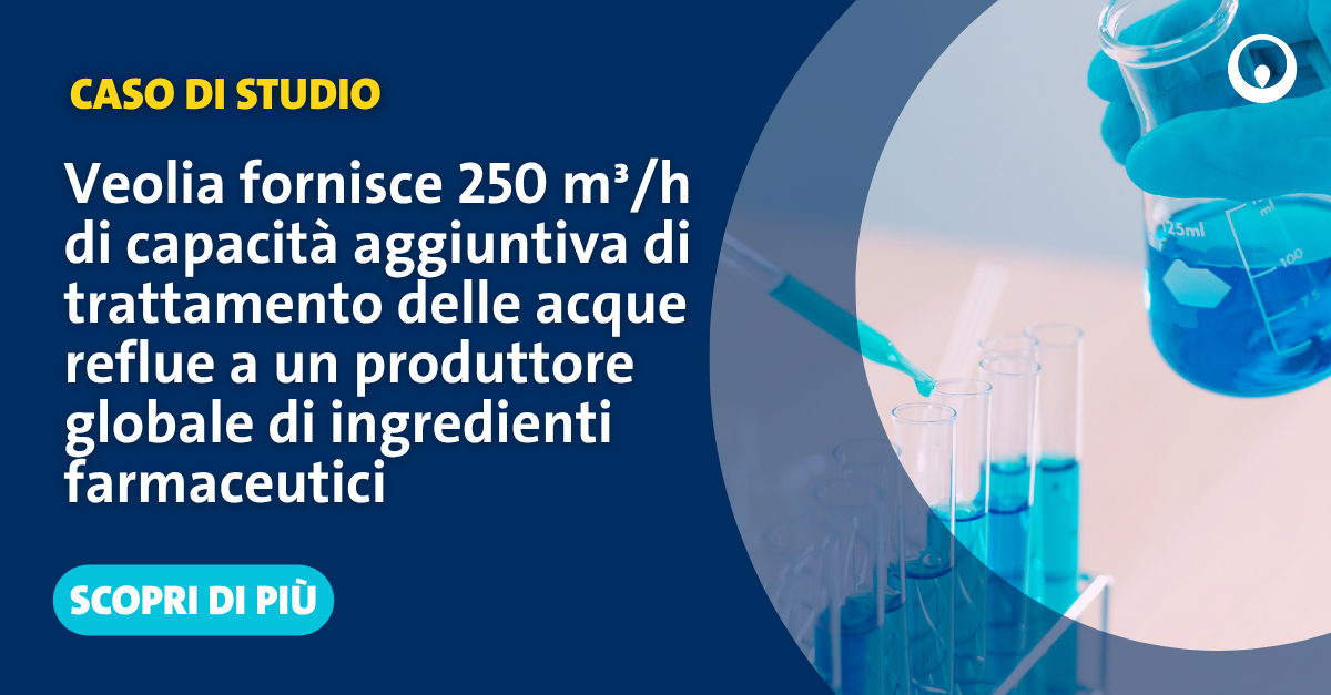 IT_LP image_CS GRINDEKS